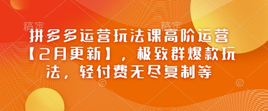 拼多多运营玩法课高阶运营【2月更新】，极致群爆款玩法，轻付费无尽复制等-shaocun资源站