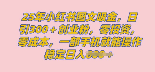 2025年小红书创业粉图文自热教程，日+300创业粉，单日变现多张，无脑操作，宝妈，小白抓紧冲-shaocun资源站