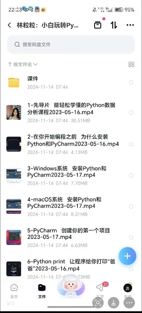 B站-林粒粒呀-小白玩转Python数据分析训练营|shaocun资源站 - 你的知识成长补给站