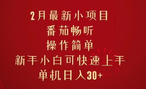 2月最新小项目，番茄畅听，操作简单，新手小白可快速上手，单机日入30+-shaocun资源站