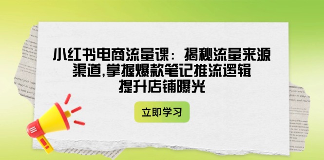 （14318期）小红书电商流量课：揭秘流量来源渠道,掌握爆款笔记推流逻辑,提升店铺曝光-shaocun资源站