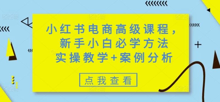 小红书电商高级课程，新手小白必学方法，实操教学+案例分析-shaocun资源站