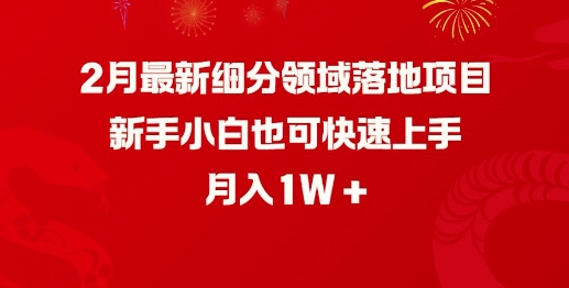 2月最新细分领域落地项目，新手小白也可快速上手，月入1W-shaocun资源站