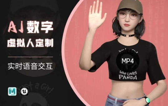 Ai数字人虚拟(智能体)实时语音交互特训营，​自行定制超写实角色AI数字人交互技术-shaocun资源站