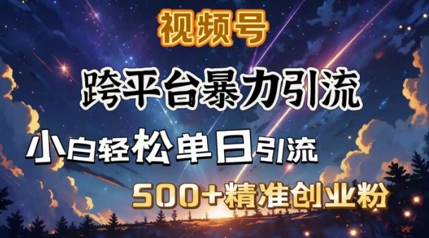 跨平台暴力引流，私域完美闭环，日引500+精准创业粉-shaocun资源站