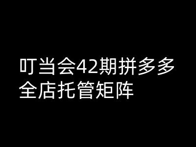 叮当会拼多多打爆班原创高阶技术第42期，拼多多全店托管矩阵-shaocun资源站